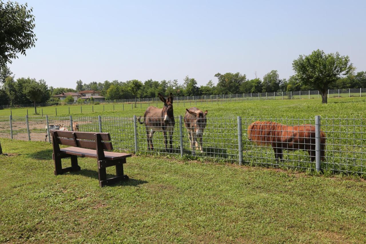 Azienda Agrituristica Ai Prai Castello Di Godego Екстер'єр фото